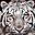 Tigers Free Screensaver icon